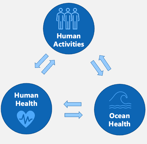 Human and ocean health