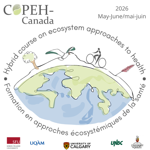 2026 hybrid course logo